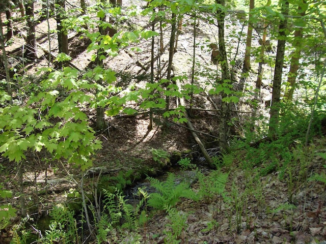 view of nature