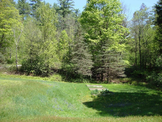 view of green lawn with a wooded view