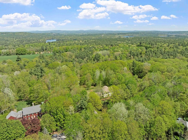 bird's eye view of a heavily wooded area