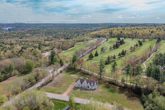 aerial view of sparsely populated area with a forest
