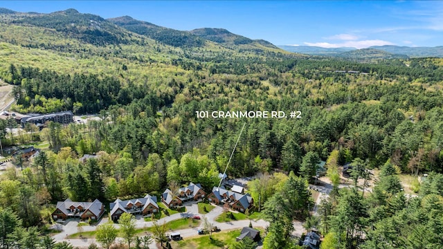 aerial overview of property's location featuring a heavily wooded area and a mountain backdrop