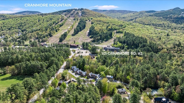 aerial view of property and surrounding area with a forest and mountains