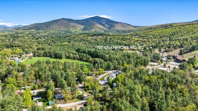 aerial view of property's location featuring a forest and mountains