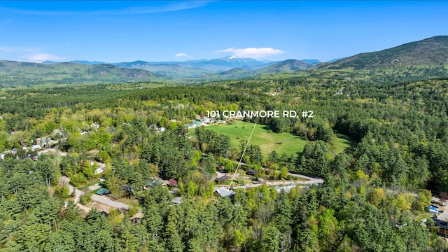 aerial view of property and surrounding area featuring a forest and a mountain backdrop