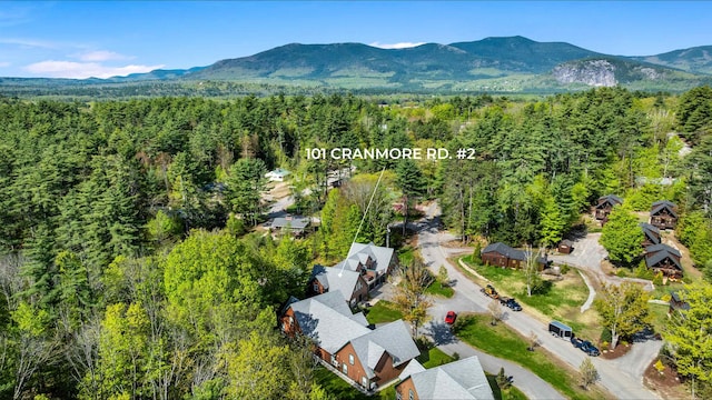 bird's eye view of a heavily wooded area and a mountain backdrop