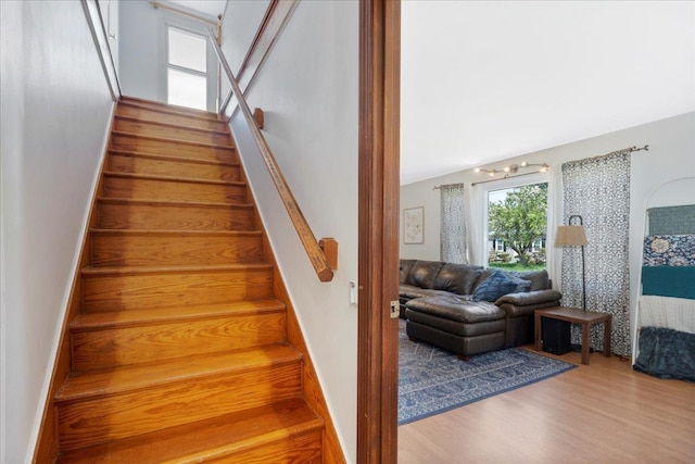 stairs featuring wood finished floors