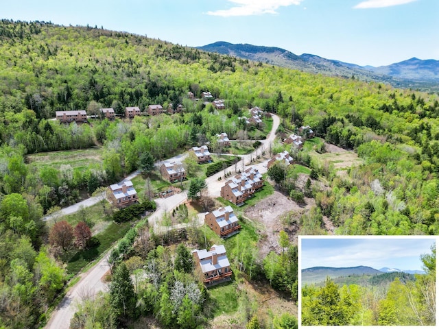 aerial view of a forest and a mountainous background