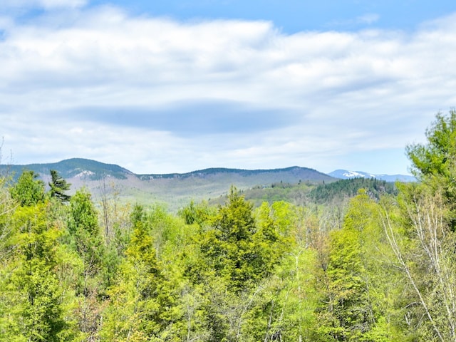 view of mountain background featuring a forest