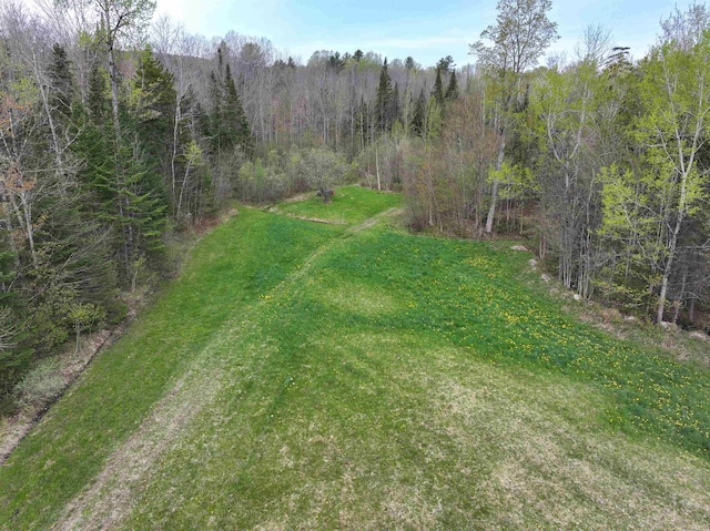 348 Macdonald Rd, Washington, VT 05675