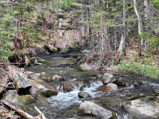 348 Macdonald Rd, Washington, VT 05675
