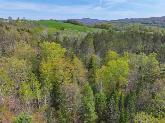 348 Macdonald Rd, Washington, VT 05675