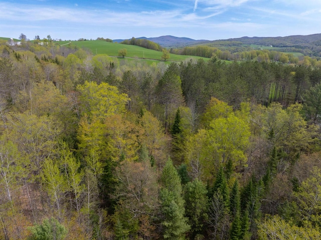 348 Macdonald Rd, Washington, VT 05675