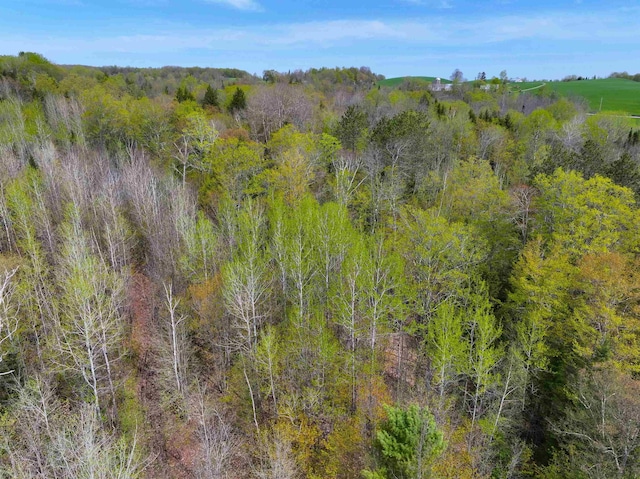 348 Macdonald Rd, Washington, VT 05675