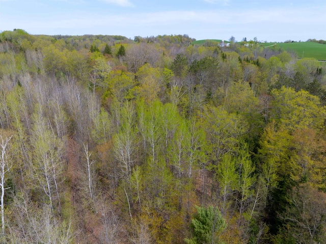 348 Macdonald Rd, Washington, VT 05675
