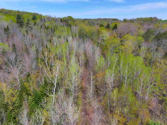 348 Macdonald Rd, Washington, VT 05675