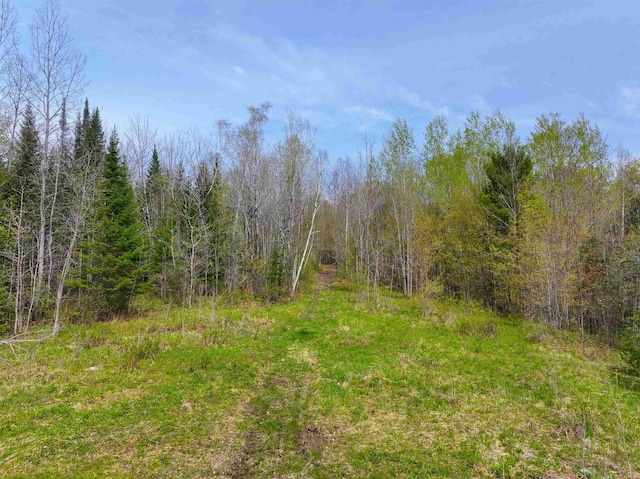 348 Macdonald Rd, Washington, VT 05675