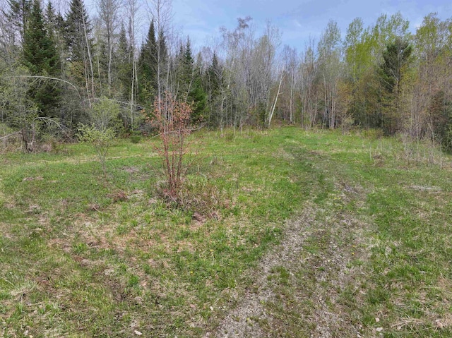 348 Macdonald Rd, Washington, VT 05675