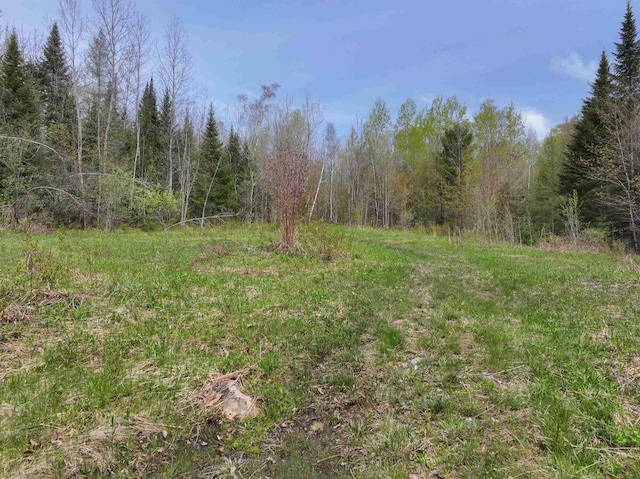348 Macdonald Rd, Washington, VT 05675