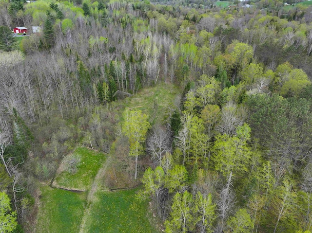 348 Macdonald Rd, Washington, VT 05675