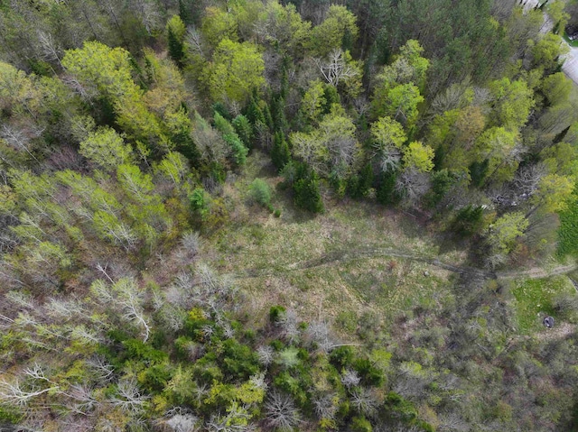 348 Macdonald Rd, Washington, VT 05675
