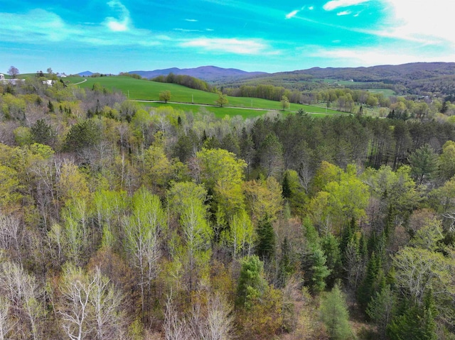 348 Macdonald Rd, Washington, VT 05675