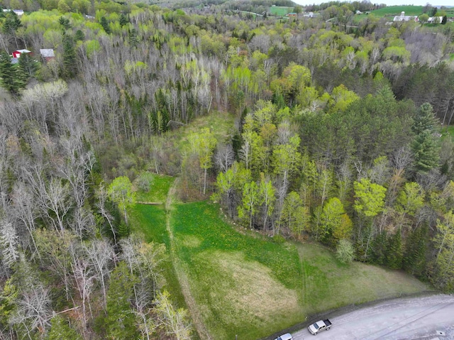 348 Macdonald Rd, Washington, VT 05675