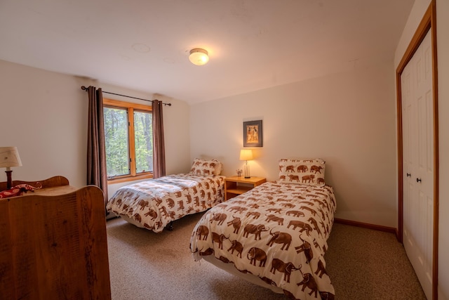 bedroom featuring carpet and a closet