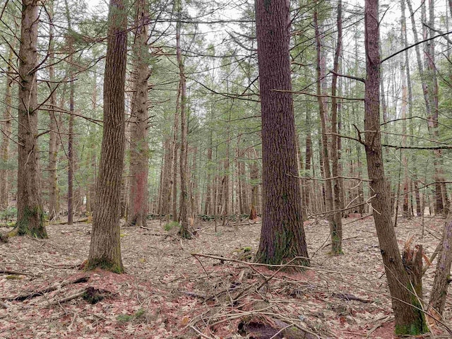 0 Murphy Rd, Peterborough, NH 03458