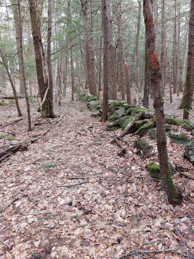 0 Murphy Rd, Peterborough, NH 03458