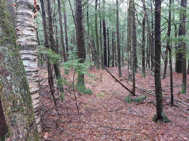 0 Murphy Rd, Peterborough, NH 03458