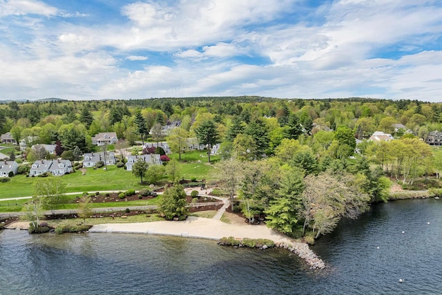 drone / aerial view of a large body of water and a forest