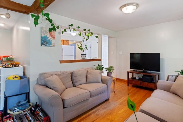 living room featuring light wood-style floors
