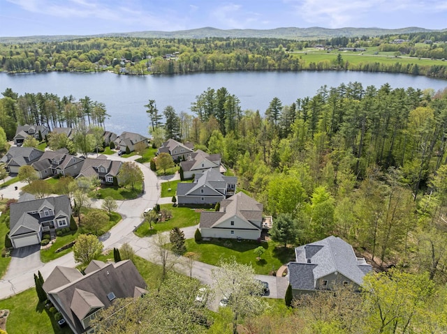 aerial perspective of suburban area with a large body of water and a heavily wooded area