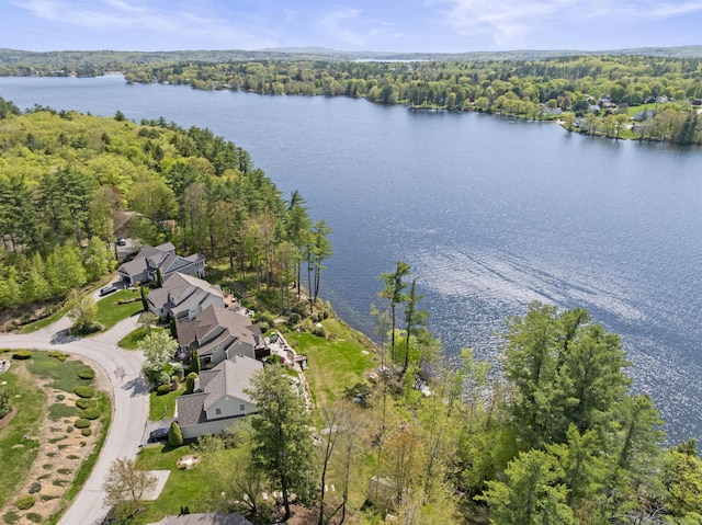 aerial overview of property's location featuring a heavily wooded area and a large body of water