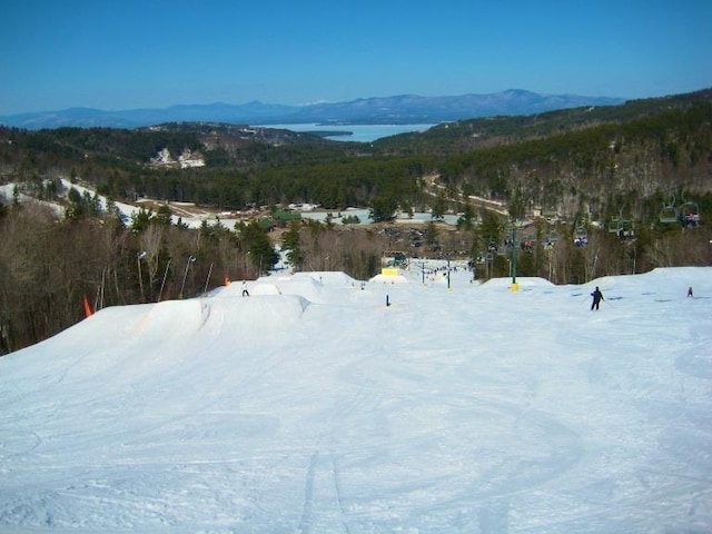 mountain view