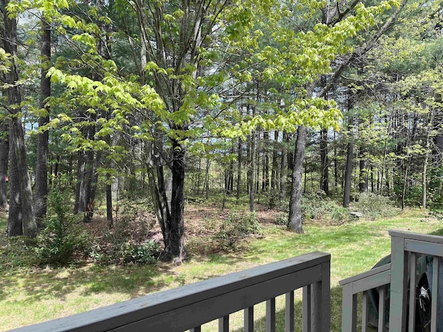 view of yard featuring a forest view