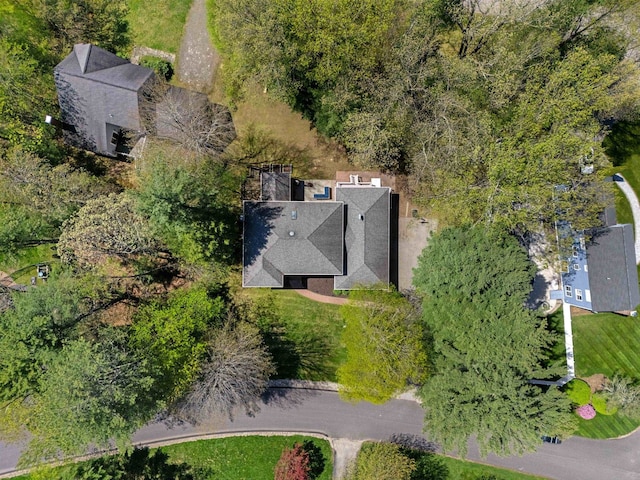 drone / aerial view
