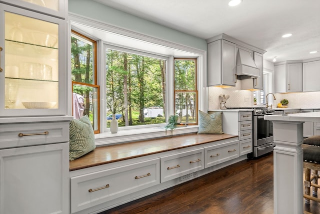 kitchen featuring premium range hood, stainless steel gas range, plenty of natural light, dark wood-style flooring, and recessed lighting