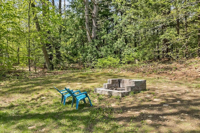 view of yard featuring a fire pit