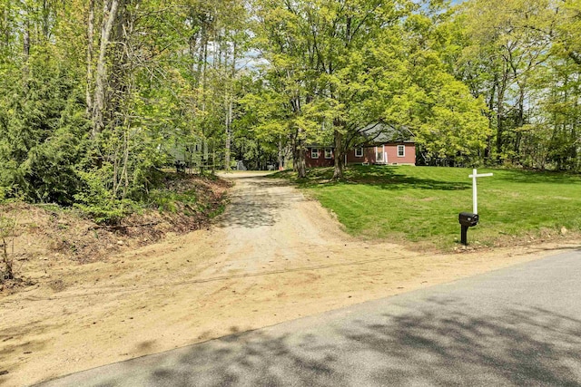 view of road with a wooded view