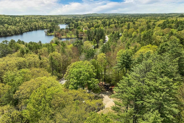 bird's eye view of a heavily wooded area and a nearby body of water
