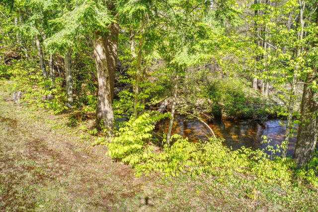 view of local wilderness