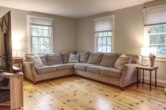 living room with healthy amount of natural light and light wood-style flooring