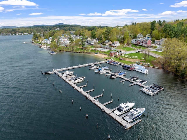 bird's eye view of a nearby body of water and numerous boat docks