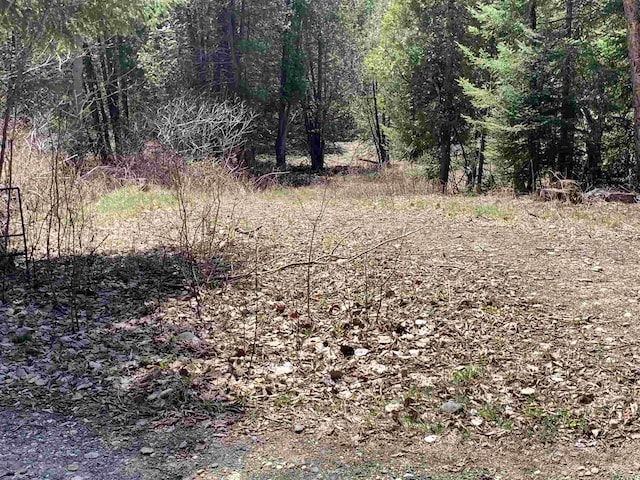 00 E Darling Hill Rd, Burke, VT 05832