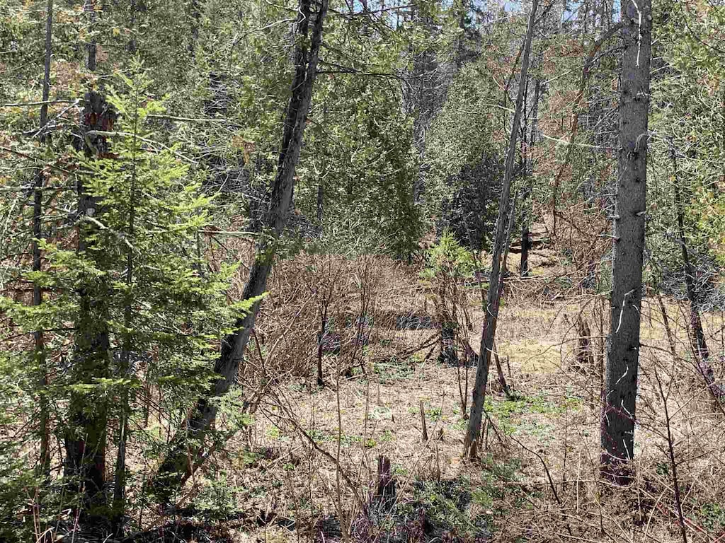 00 E Darling Hill Rd, Burke, VT 05832