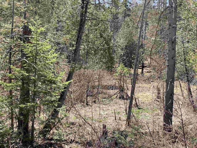 00 E Darling Hill Rd, Burke, VT 05832