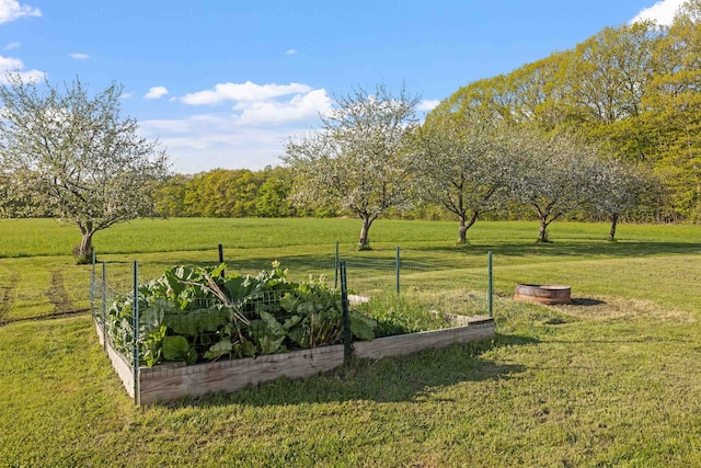 view of green lawn with a garden and a view of countryside