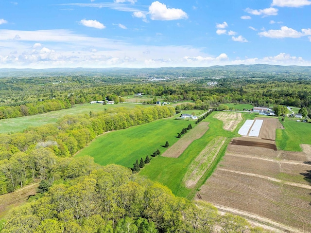 drone / aerial view of a forest