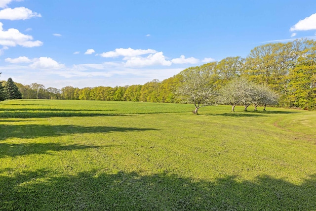 view of grassy yard with a view of trees